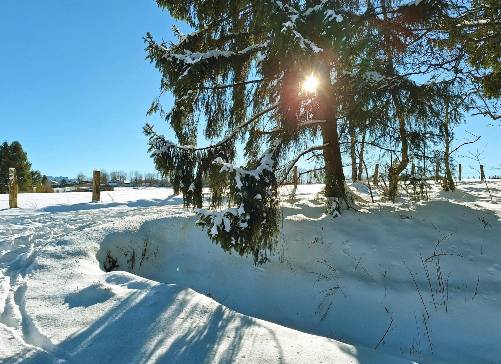 Дом отдыха Am Nationalpark Eifel Dreiborn